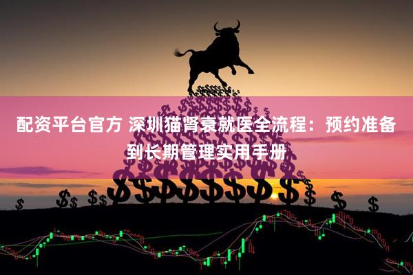配资平台官方 深圳猫肾衰就医全流程：预约准备到长期管理实用手册