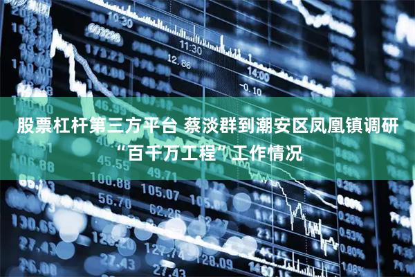 股票杠杆第三方平台 蔡淡群到潮安区凤凰镇调研“百千万工程”工作情况